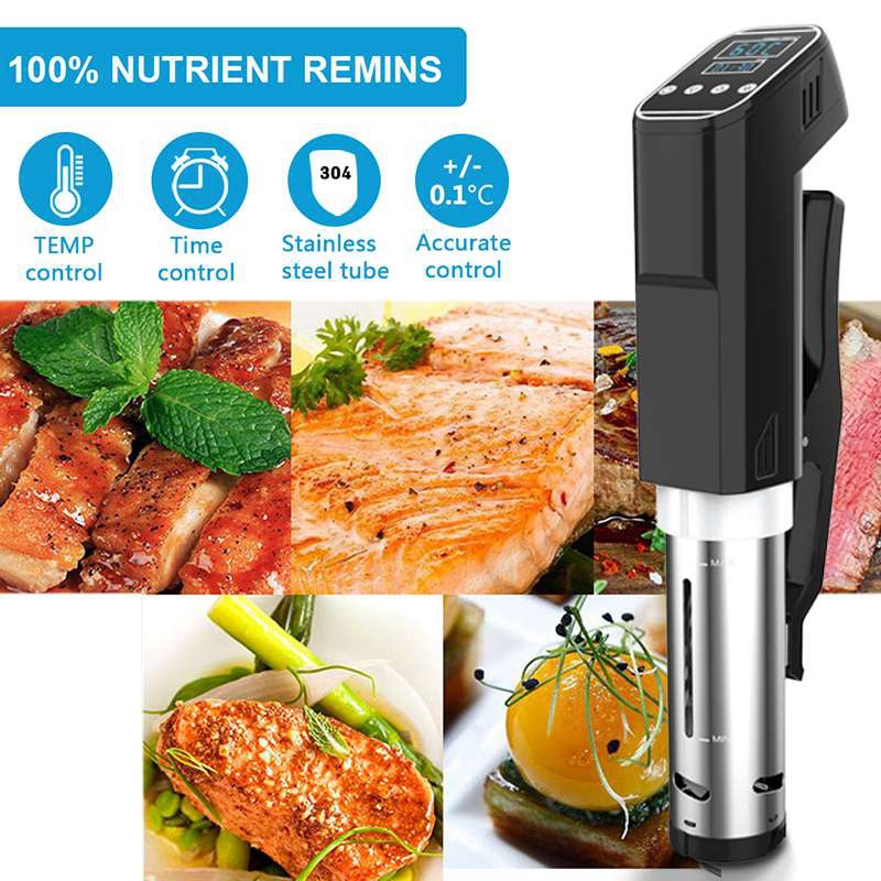 진공 수비디 슬로우 푸드 쿠커 요리 기계, 견고한 침수 - Digital Sous Vide Precision Cooker 리뷰 및 가격