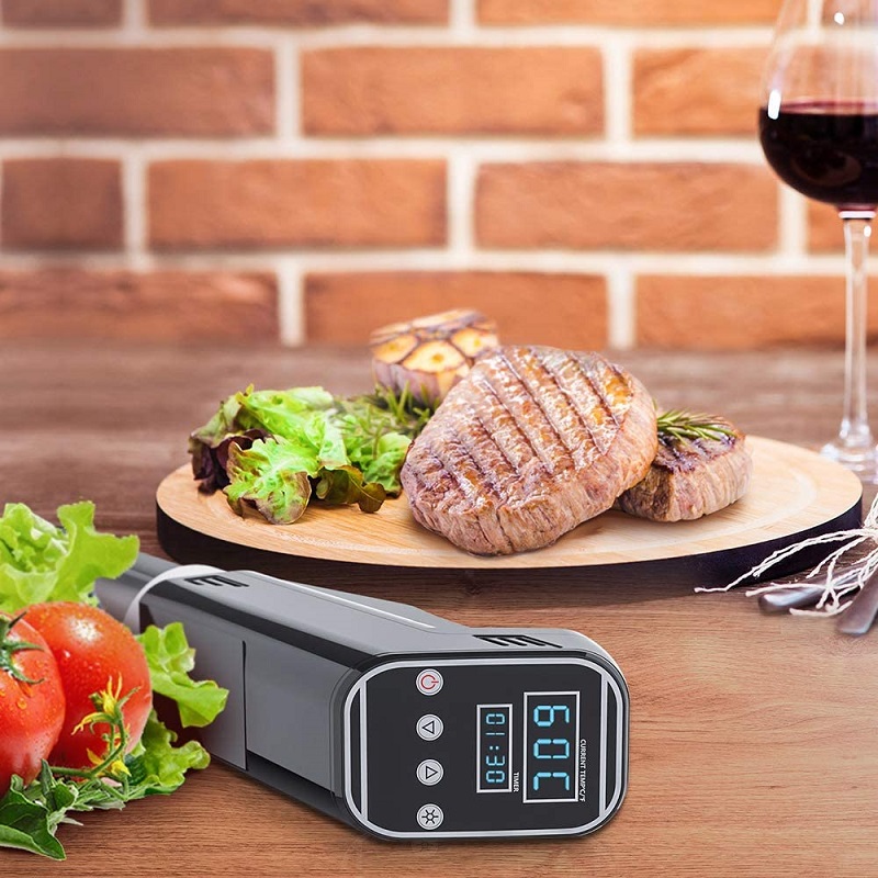 진공 수비디 슬로우 푸드 쿠커 요리 기계, 견고한 침수 - Digital Sous Vide Precision Cooker 리뷰 및 가격