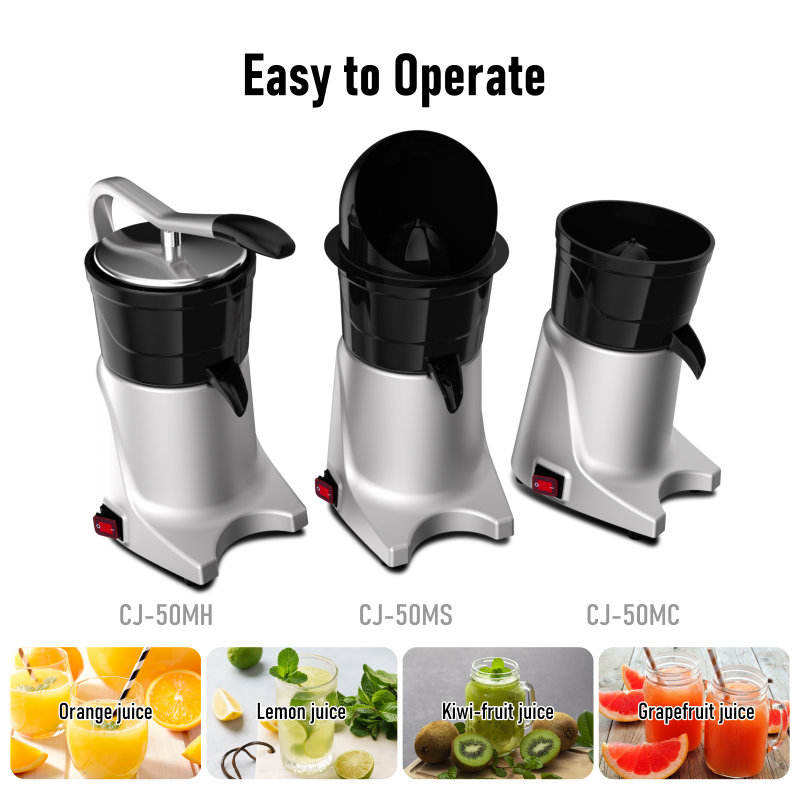 주방 가전 블렌더 및 착즙기 생오렌지 멀베리 칼라만시  - Kitchen Appliances 리뷰 및 가격
