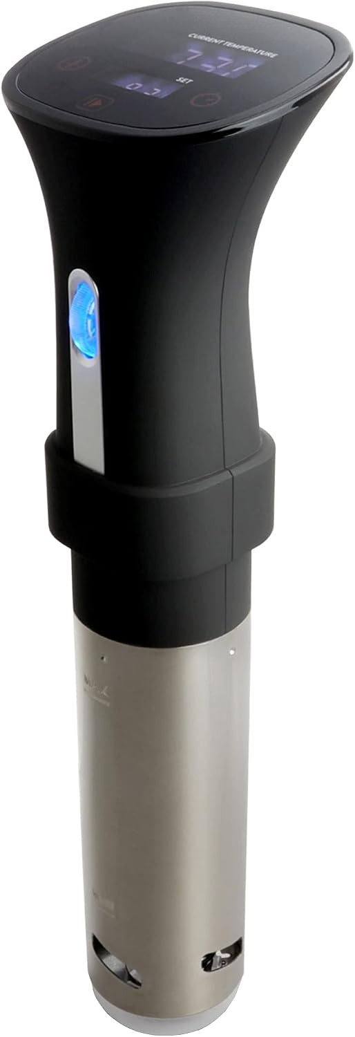 이머전 서큘레이션 정밀 수비드 쿠커, 대형 디지털 터치 - Digital Sous Vide Precision Cooker 리뷰 및 가격